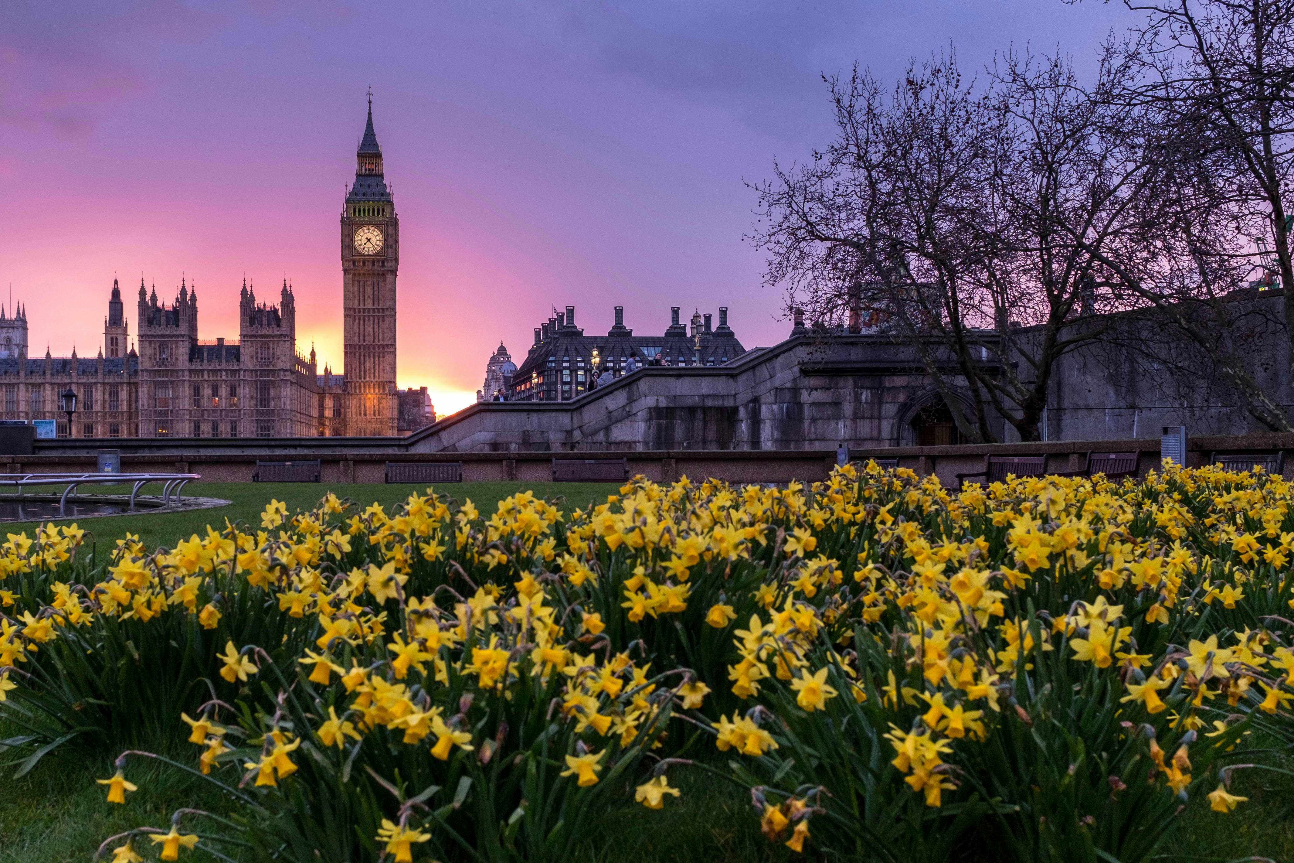 london houses of parliament